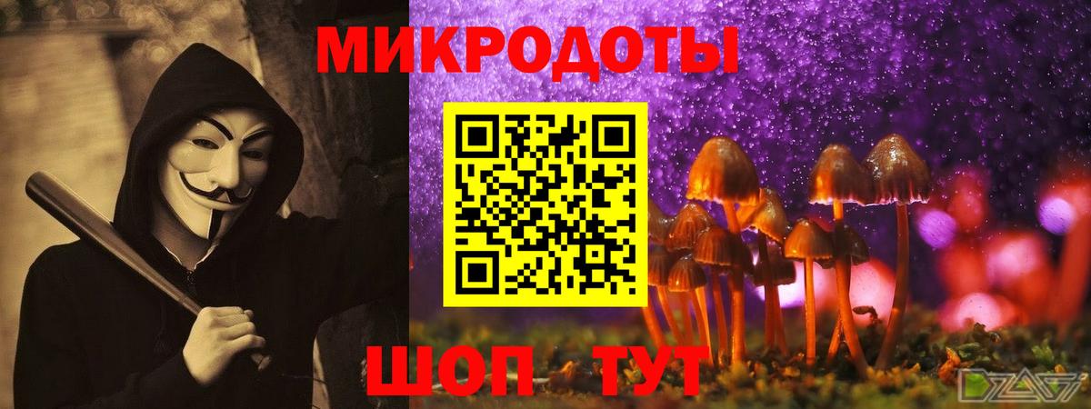 Псилоцибиновые грибы Cubensis Майский